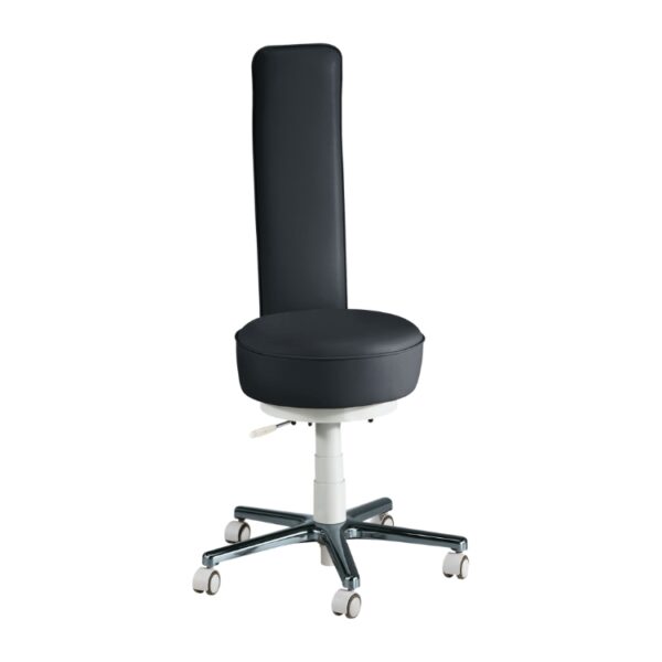 Pending Compact Exclusive Work Chair - Image 2